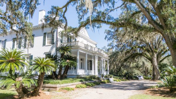 Corner of the white house with palms and oaks at Goodwood