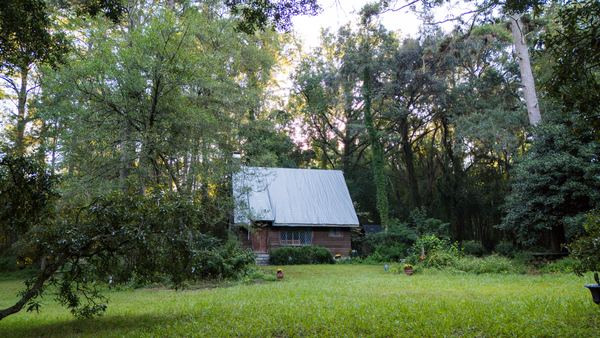 Small metal-roofed cabin in a sunny, grassy glade at Lichgate