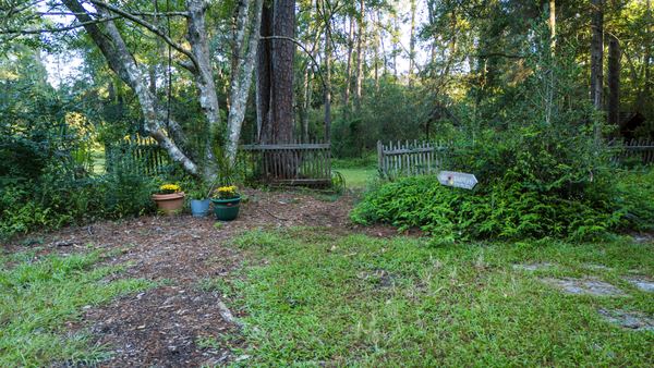 Garden clearing with potted plants and a bench under the trees at Lichgate