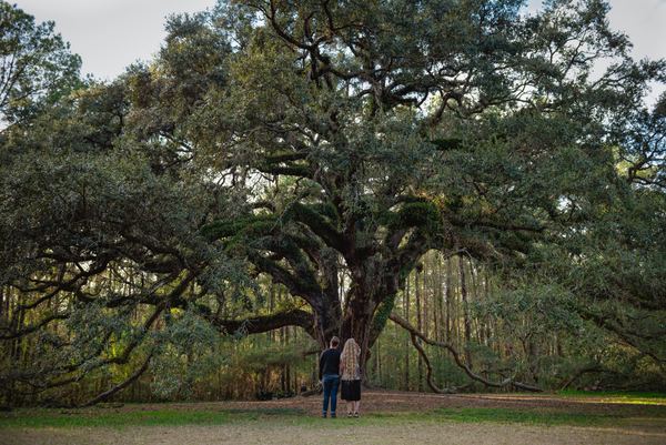 Couple seen from behind, standing small beneath the giant Lichgate live oak