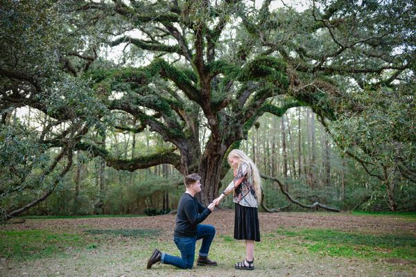 Proposal on one knee beneath the sprawling live oak at Lichgate on High Road