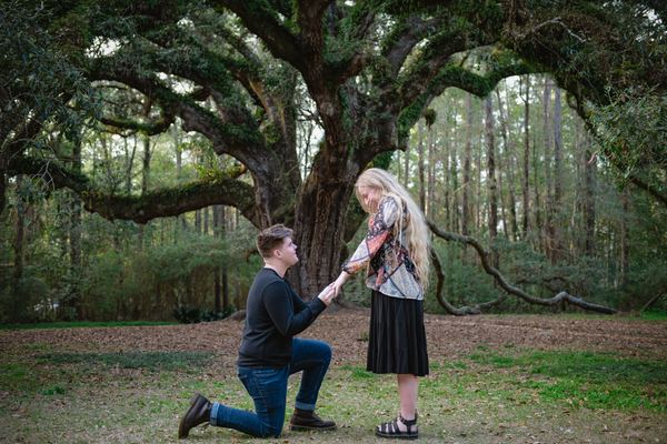 Moment of a proposal under the giant oak at Lichgate on High Road