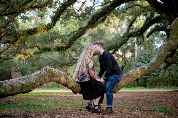 Engaged couple kissing while seated on a low oak branch at Lichgate